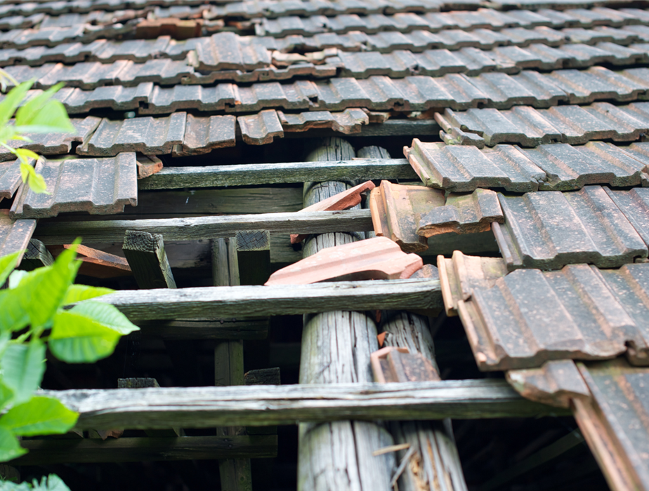 <img src =”leaky-roof.jpg” alt = "leaky roof signs”>